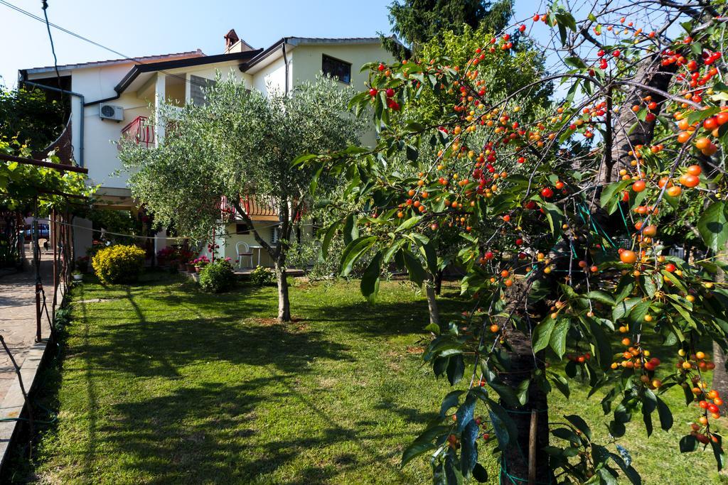 אומאג Apartments Milica מראה חיצוני תמונה
